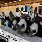 burros