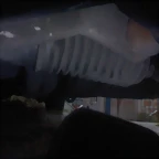 DSC00433