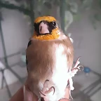 IMAG0125