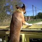 IMG00236-20120323-1533
