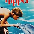 mi amigo Flipper_car1