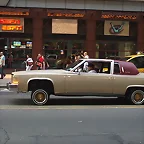 NY HOT ROD DORADO