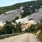 DSCN8600