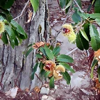 DSCN1343