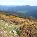 reglaje 015