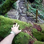 DSCN5853