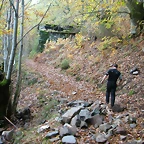 DSCN6136