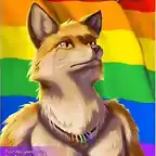 fur flag gay