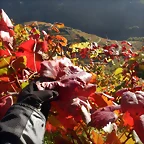 DSCN4469