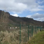 DSCF3393