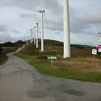 DSCN6237