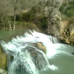 Imagen0303