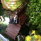 SLTADCT (23)