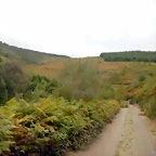 DSCN7155