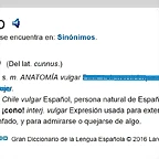 significado de co?o diccionario