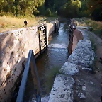 DSCN6431