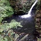 DSCN0720