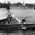 komar (9)