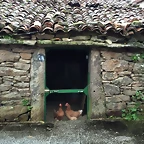 DSCN9547'4