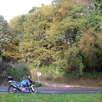 DSCN6226