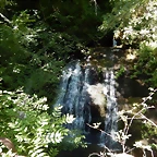 DSCN0079