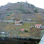 DSCN6463