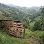 DSCN4787