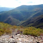 DSCN0090