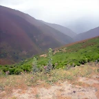 DSCN6303
