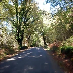 DSCN1085