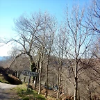 DSCN3631