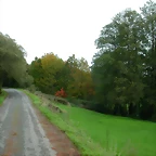 DSCN5818