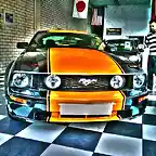 MUSTANG chiguy41 xtra