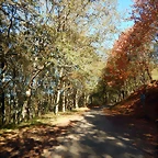 DSCN1079