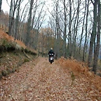 DSCN9644