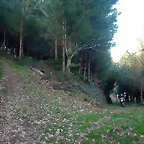 DSCN5761