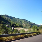 DSCN4235