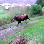 DSCN6325