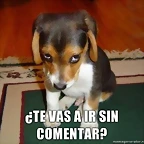 Te-vas-a-ir-sin-comentar
