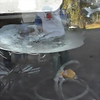 SDC14754