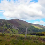 DSCN0878