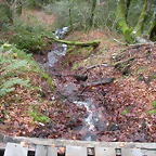 DSCN0755