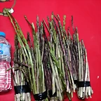 IMG_20180415_121433
