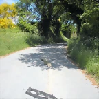 DSCN5398