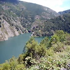 DSCN1446