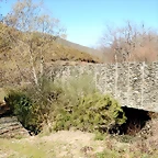 DSCN1521