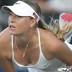 a-maria-sharapova-gallery-11