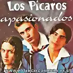 LOS PICAROS - APASIONADOS D