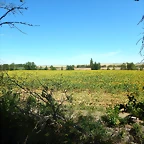 DSCN8133