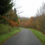 DSCN1041